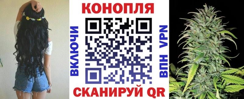 Купить наркотики цена Волосово ГАШ  Бошки Шишки  ГЕРОИН  СК  Меф мяу мяу  COCAIN  Псилоцибиновые грибы 