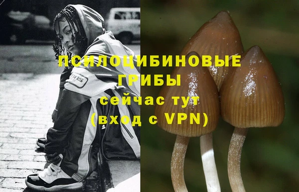 герыч Белокуриха
