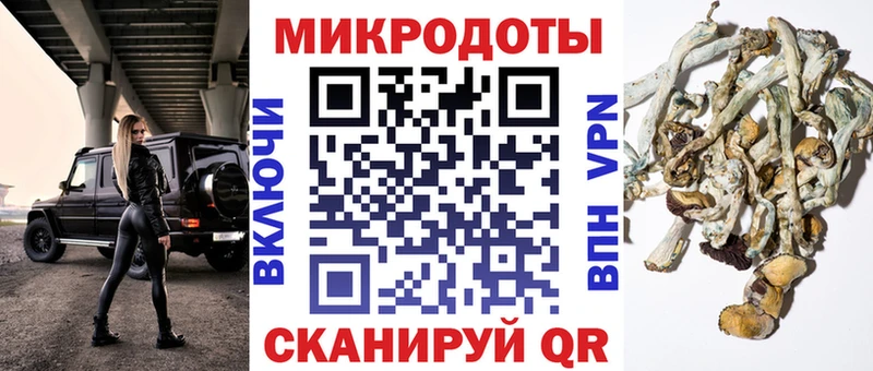 Псилоцибиновые грибы MAGIC MUSHROOMS  как найти   Волосово 